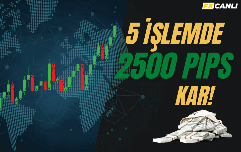 Forex Dolar